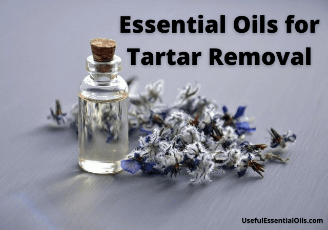Essential Oils for Tartar Removal