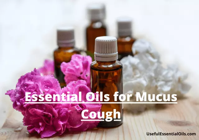 essential oils for mucus cough